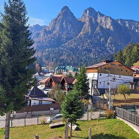 Vila Panoramic Busteni Luaran gambar