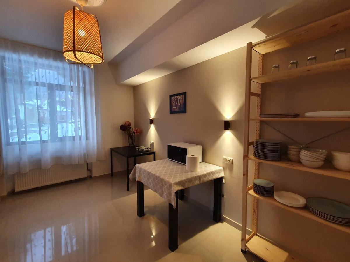 Vila Panoramic Busteni Luaran gambar