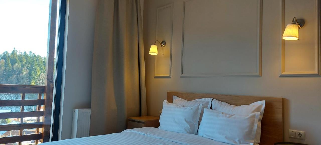 Vila Panoramic Busteni Luaran gambar