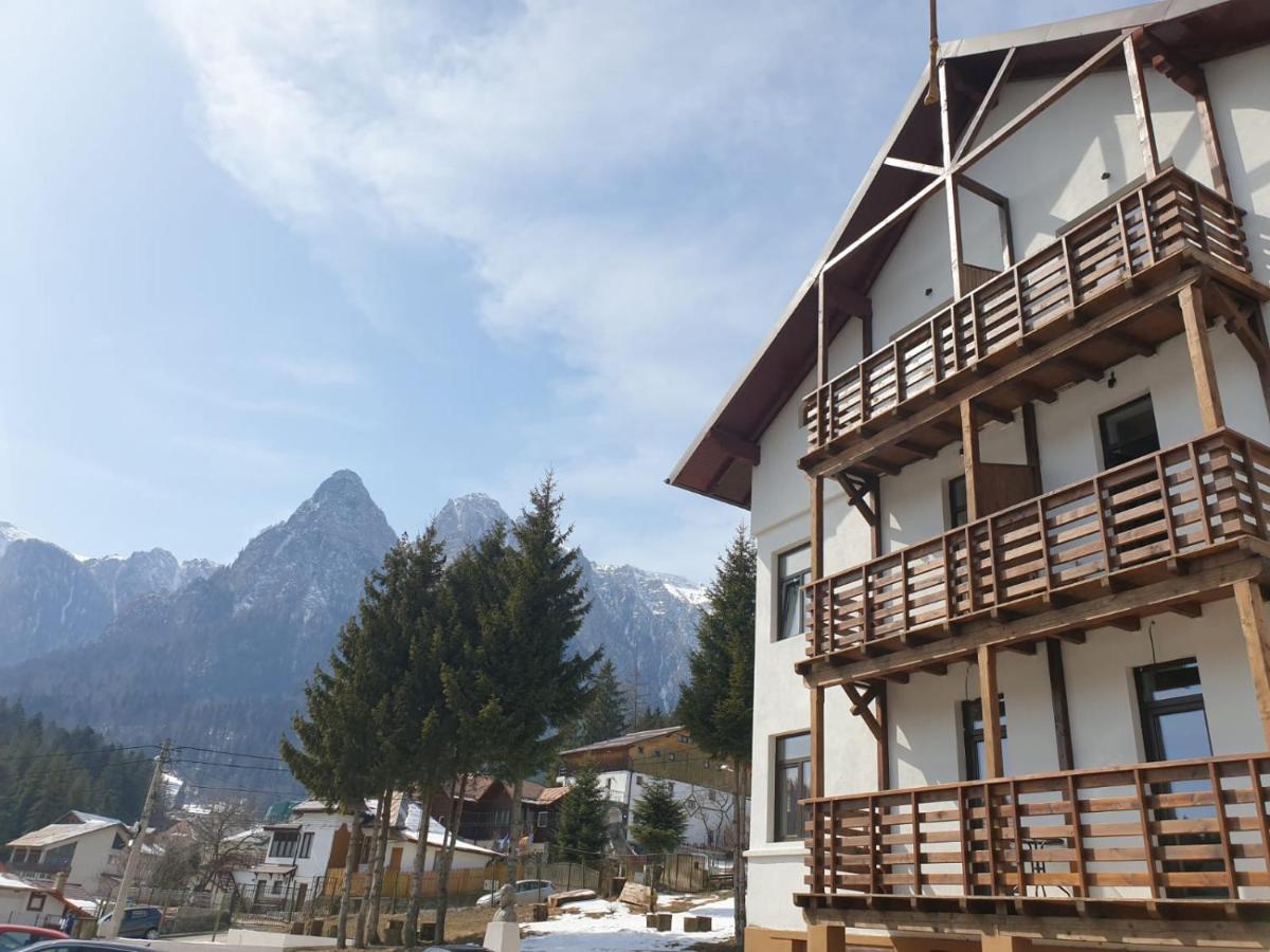 Vila Panoramic Busteni Luaran gambar