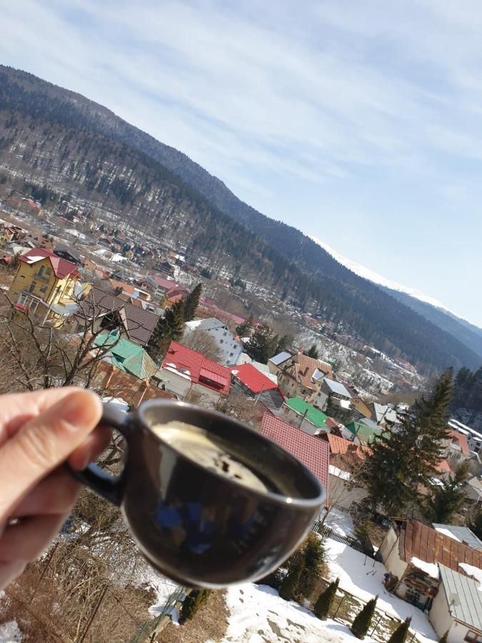 Vila Panoramic Busteni Luaran gambar