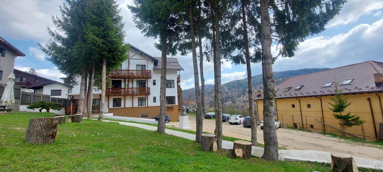 Vila Panoramic Busteni Luaran gambar