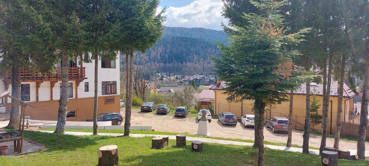 Vila Panoramic Busteni Luaran gambar