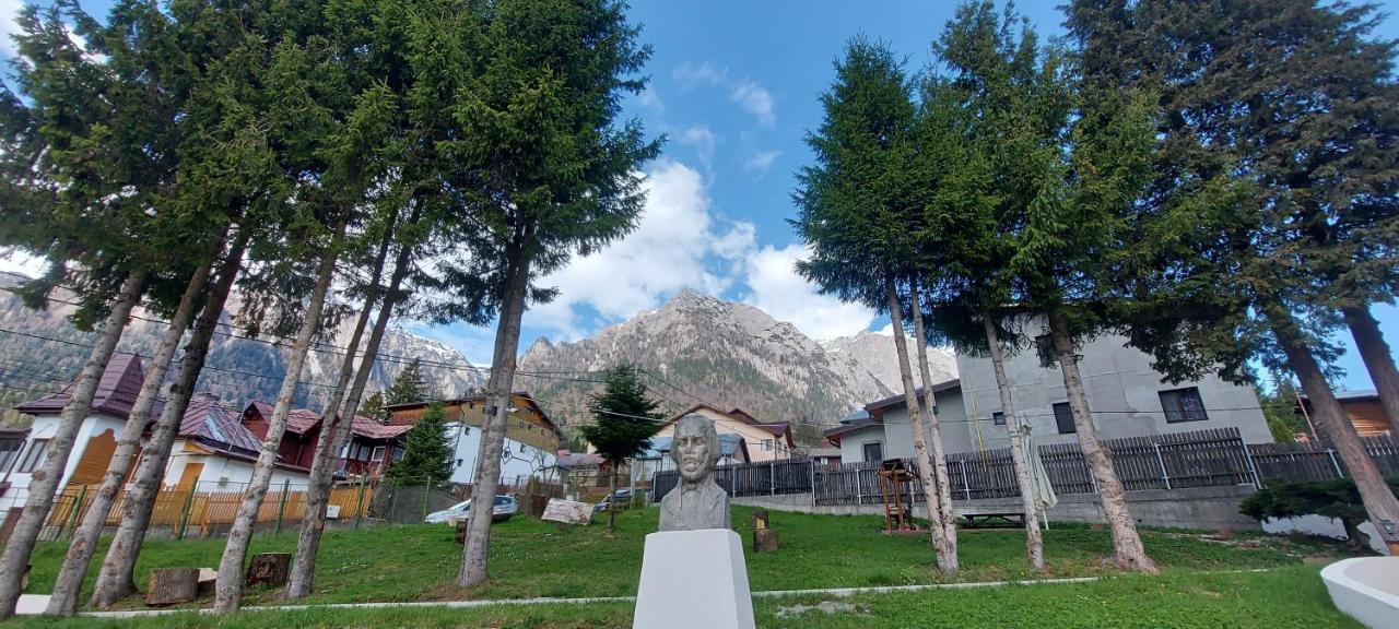 Vila Panoramic Busteni Luaran gambar