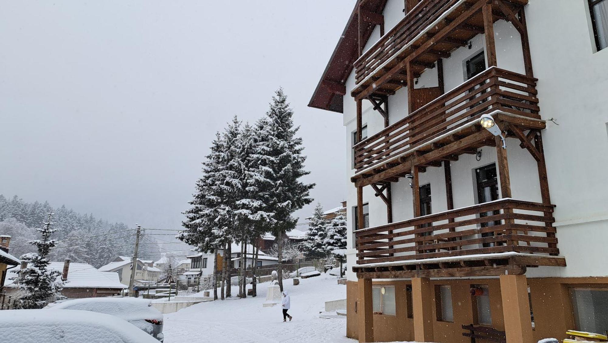 Vila Panoramic Busteni Luaran gambar